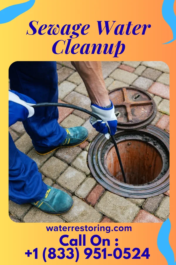 Sewage Water Cleanup in Walters, OK